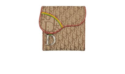 Christian Dior Rasta Saddle Wallet, front view